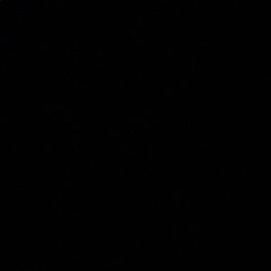 Meet your Posher, Antonio